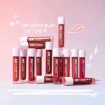 Son Kem Lì Siêu Mịn Peripera Ink Matte Blur Tint